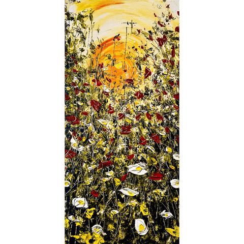 Eclipse II 22x46